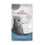 Platinum CAT Adult Fish