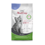 Platinum CAT Kitten Chicken