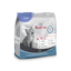 Platinum CAT Kitten Fish
